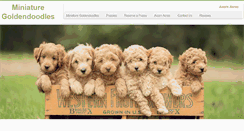 Desktop Screenshot of goldendoodlesmn.com