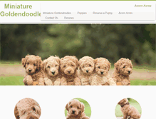 Tablet Screenshot of goldendoodlesmn.com